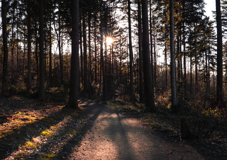 Bild zeigt Steine und darüberfließendes Wasser